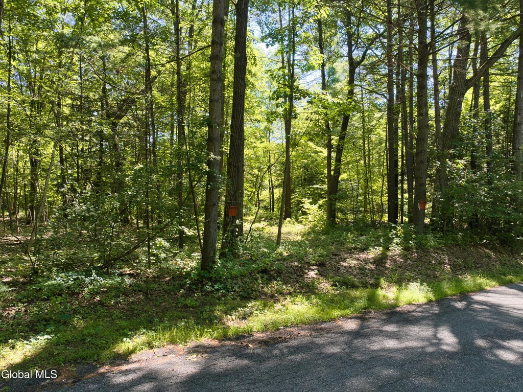 Picture 29