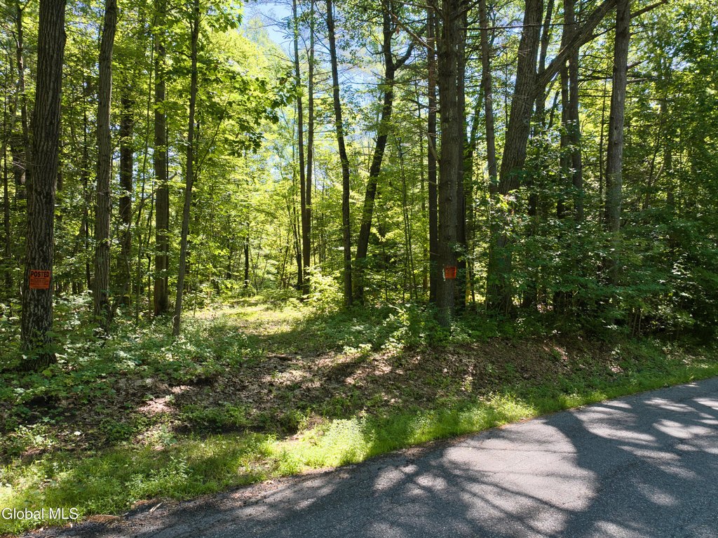 Picture 26