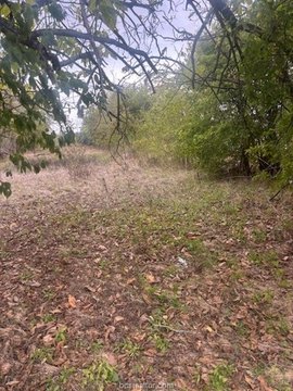 Land, Calvert, TX