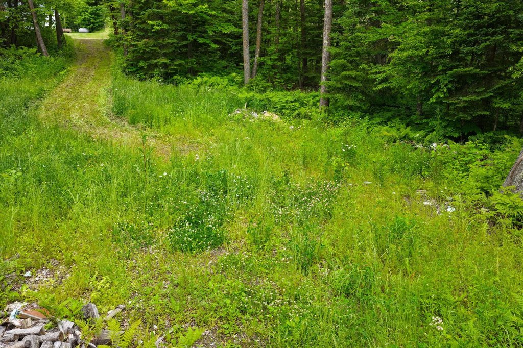 Picture 13