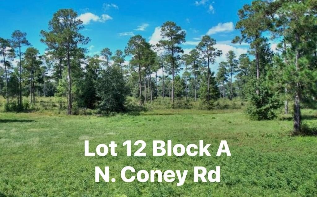 Land Near Lake Blackshear
