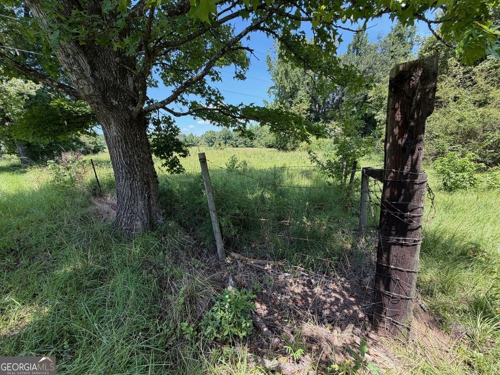 Picture 22