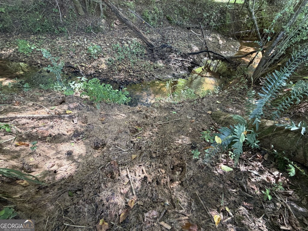 Picture 18