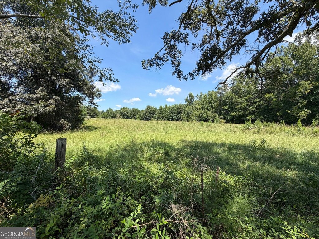 Picture 19