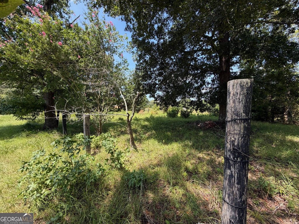 Picture 18
