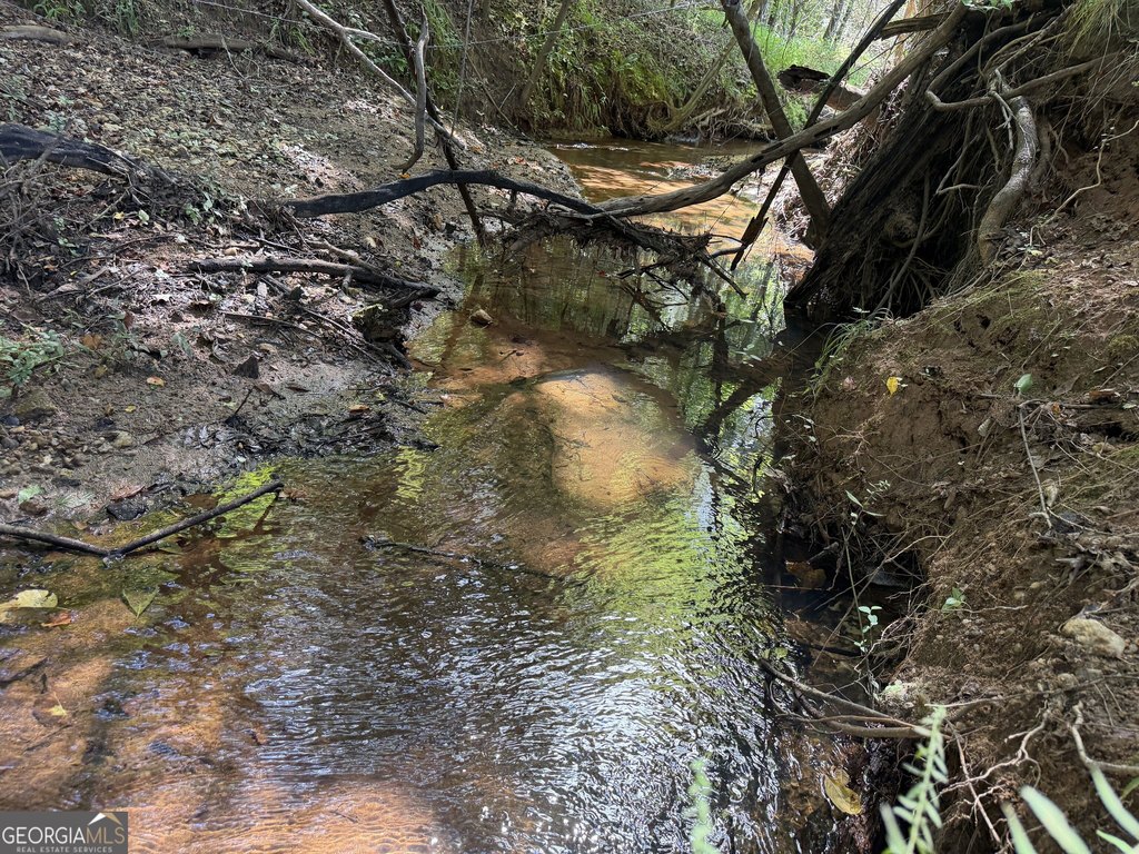 Picture 22