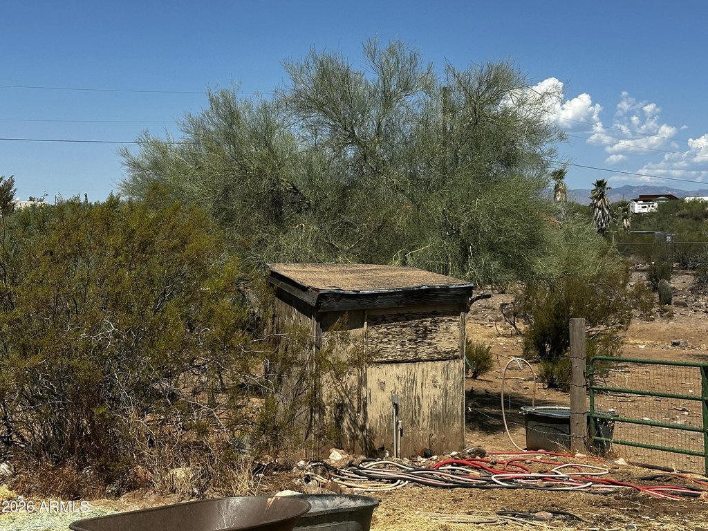 Picture 4