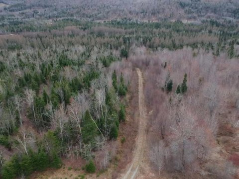 Wooded Land Parcel in Fort Kent