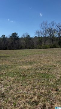 LAND - CALERA, AL