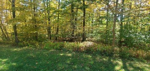 Land, Equinunk, PA