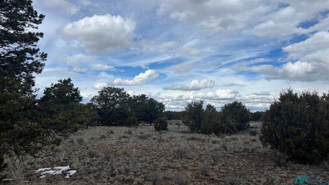 Land, Fence Lake, NM
