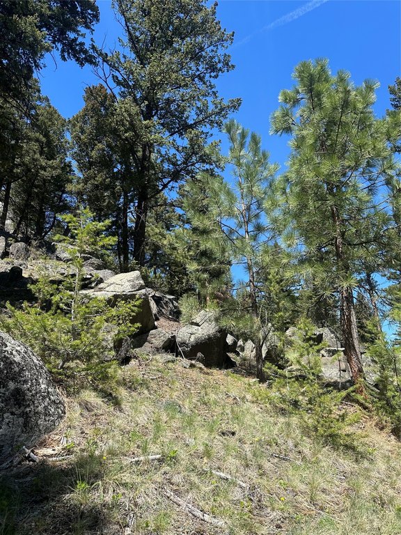Picture 11