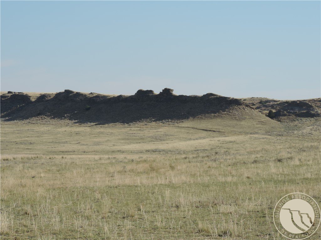 Rapelje, MT Grazing Tract