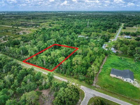 Land, AVON PARK, FL
