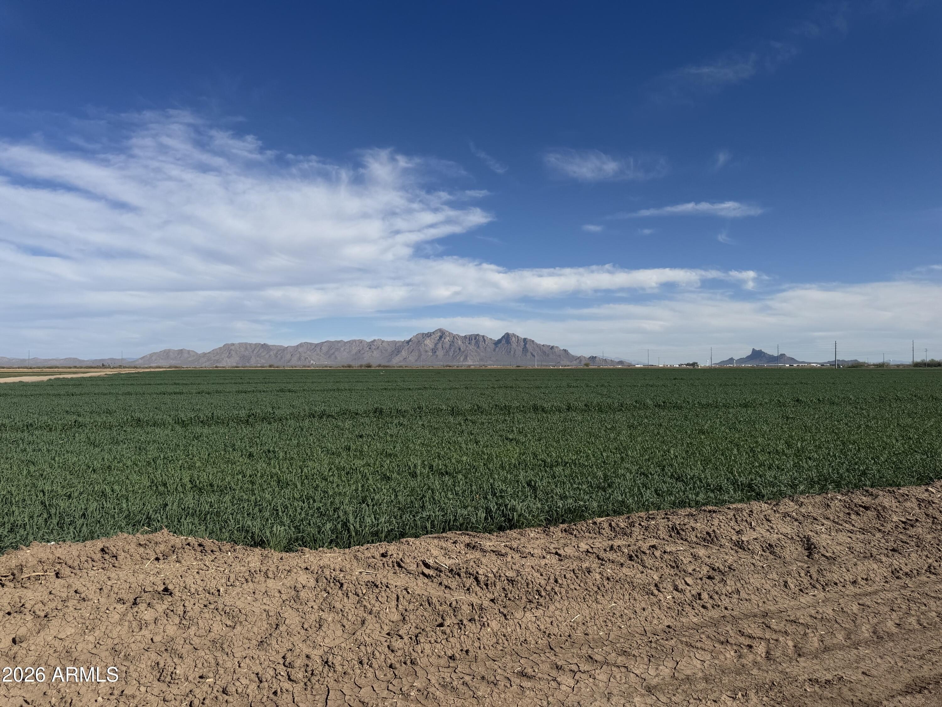 Agricultural Land in Eloy, Arizona