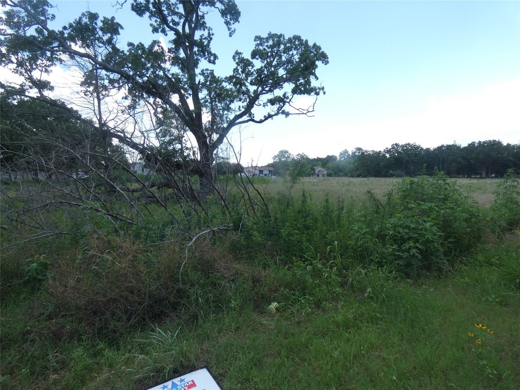 Picture 3