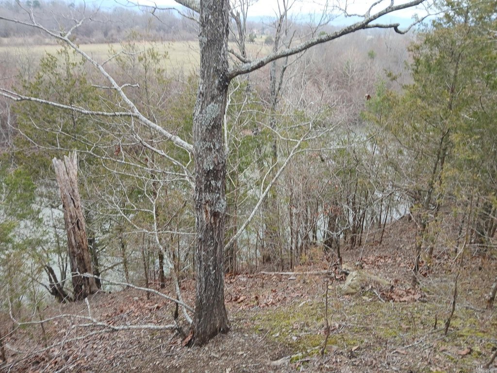 Picture 29