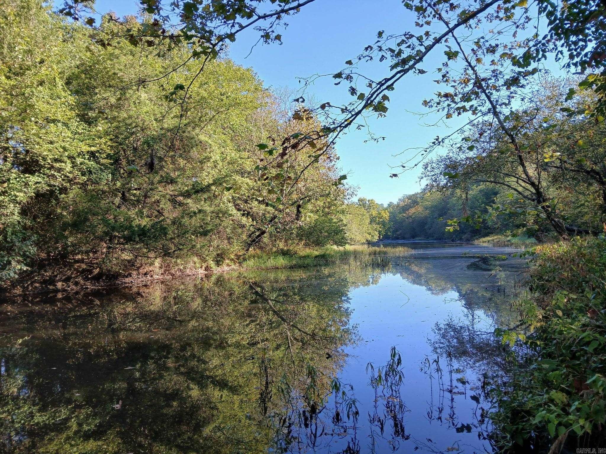 Wooded Acreage on Irons Fork