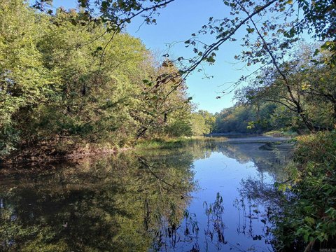 Wooded Acreage on Irons Fork
