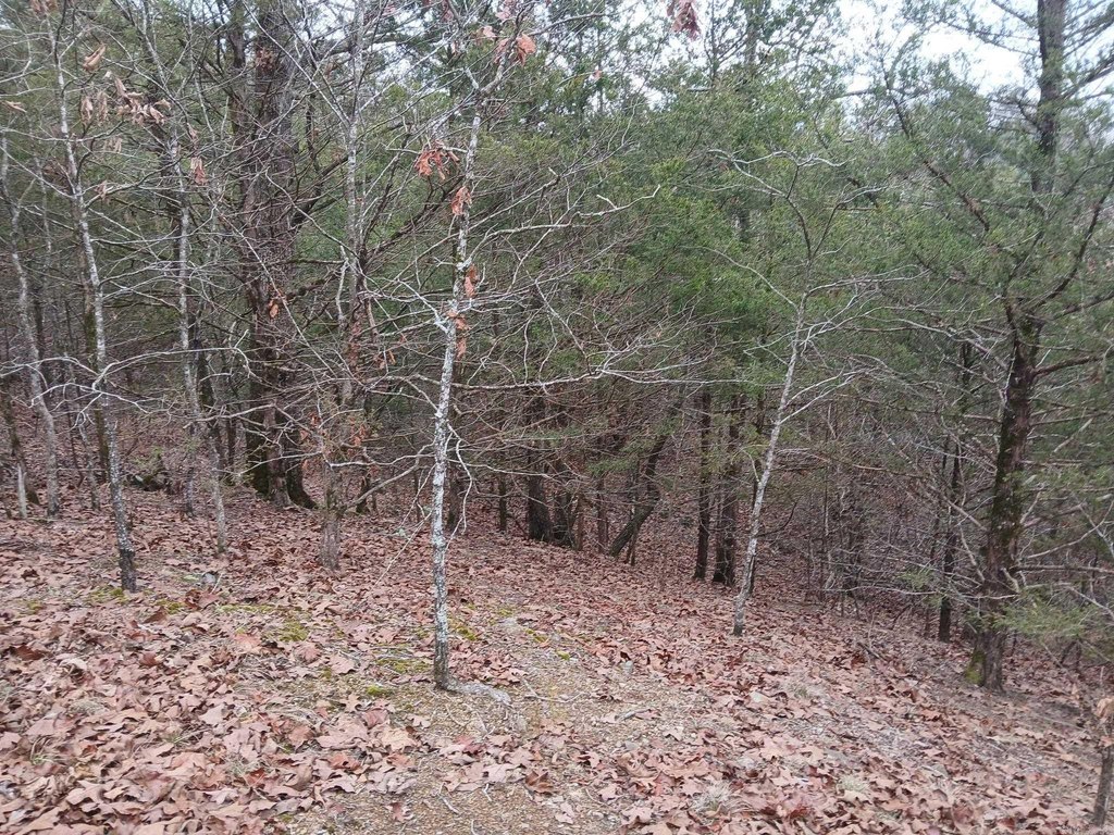 Picture 30