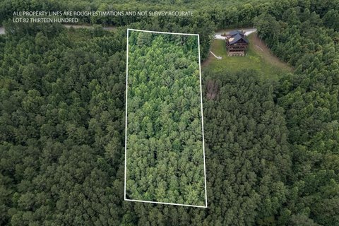 LAND - Blairsville, GA