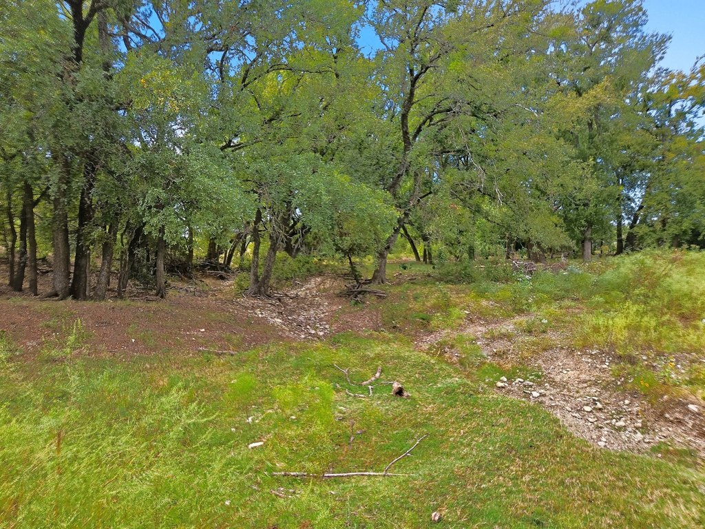 Picture 33