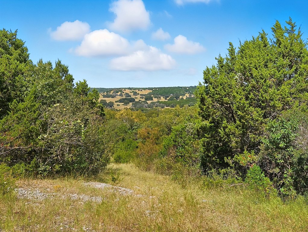 Picture 19
