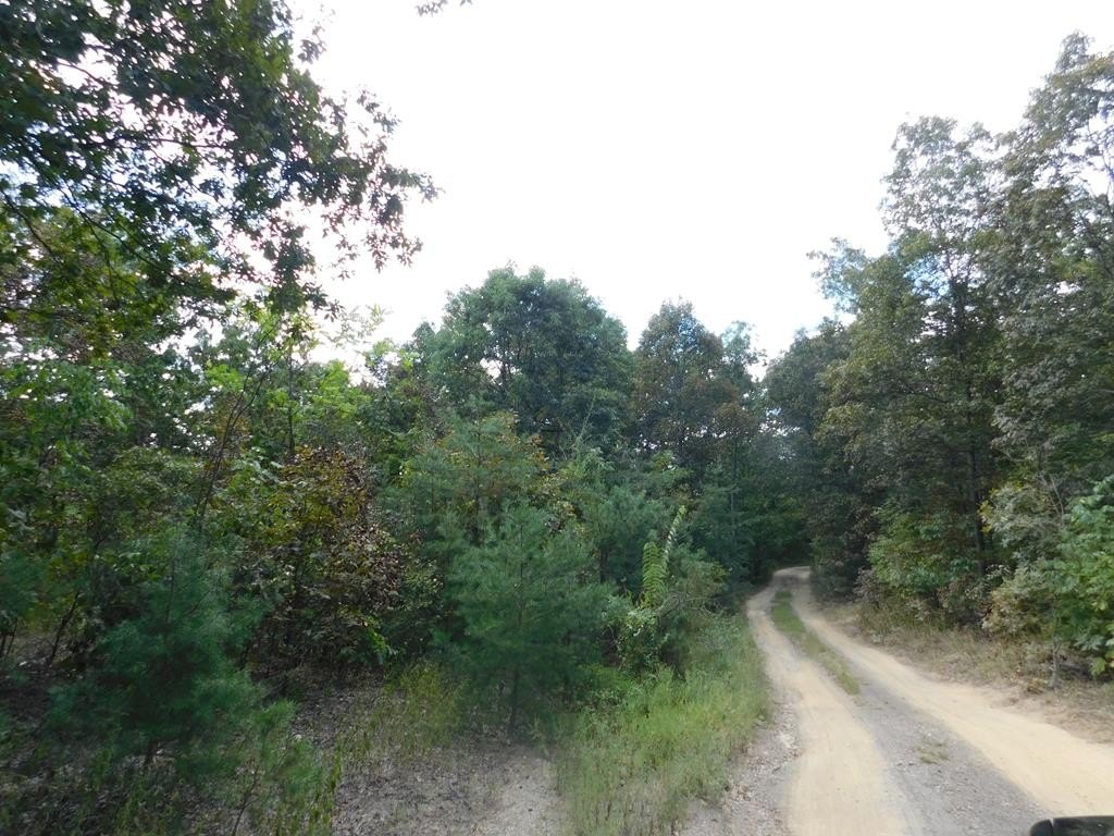Picture 26