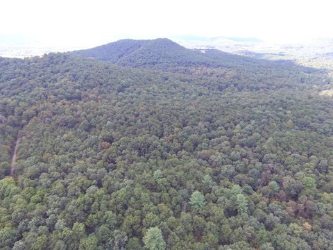 236.78 Acres Recreational Land