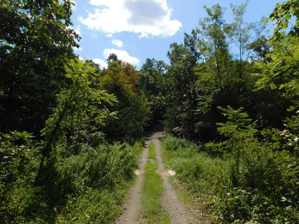 Picture 28