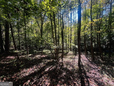 Land, Baldwin, GA