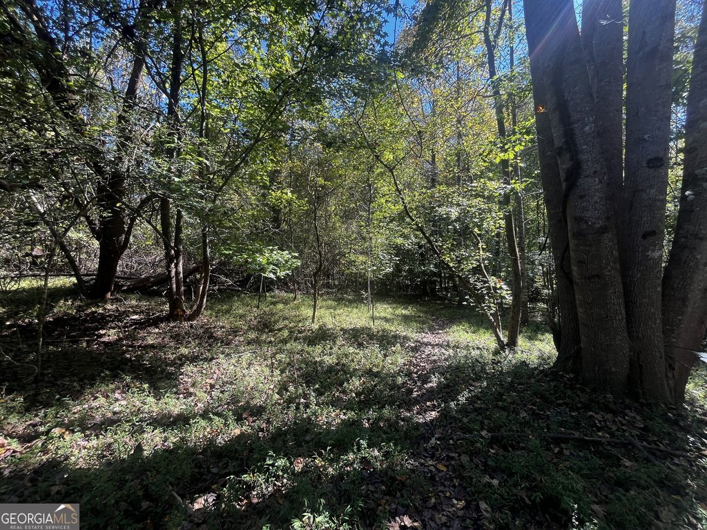 Picture 11