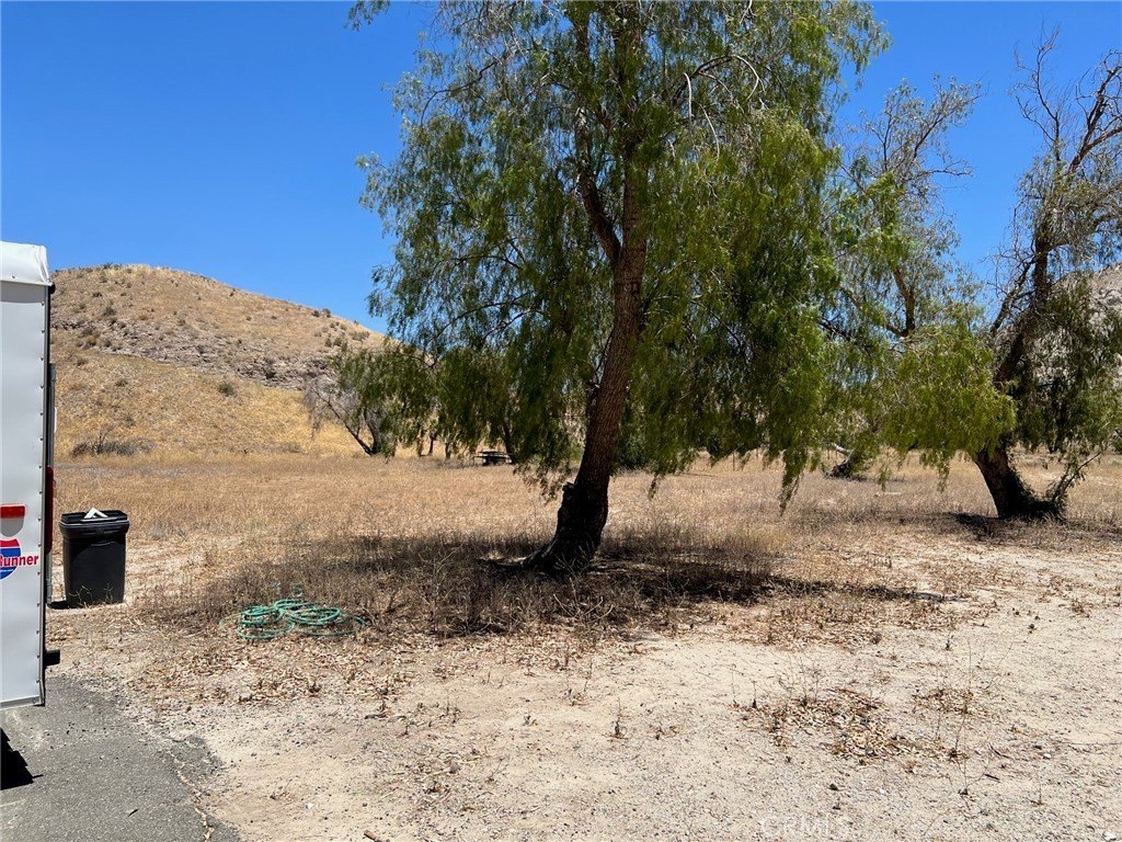 Picture 21