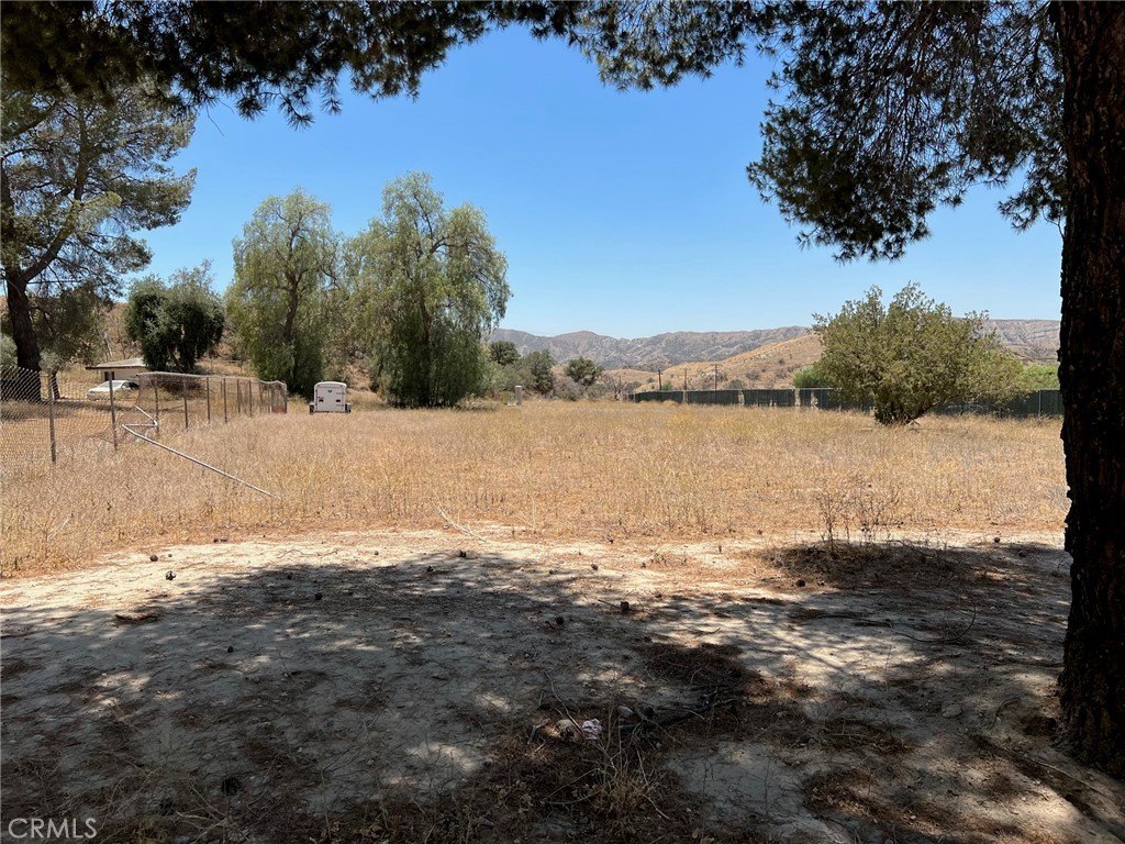 Picture 25