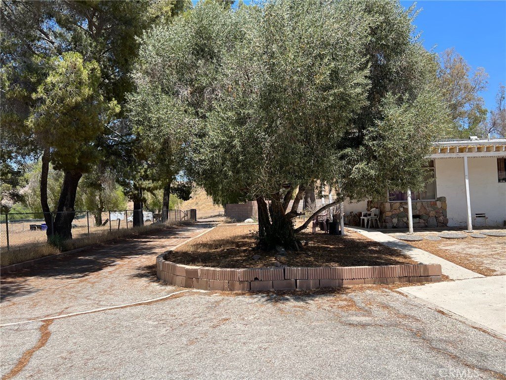 Picture 11