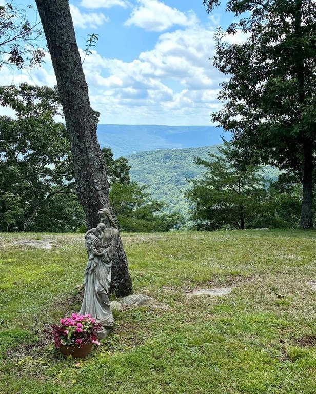 Picture 6