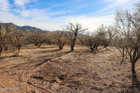 Spacious Lot in Patagonia, AZ
