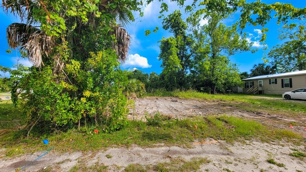 Picture 4