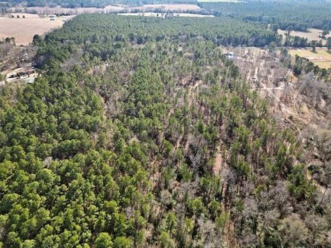 LAND, Troup, TX