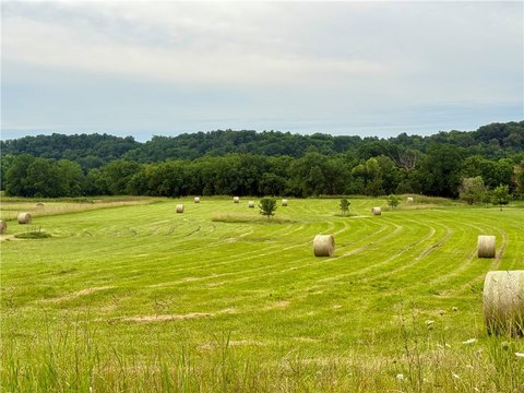 Creek-Frontage Acreage Tract