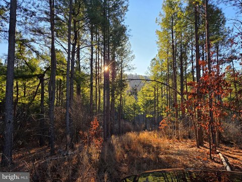Secluded Recreational and Hunting Land