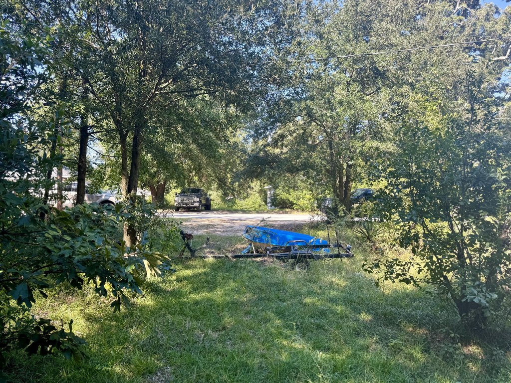 Picture 3