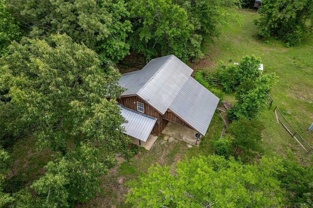 Picture 16