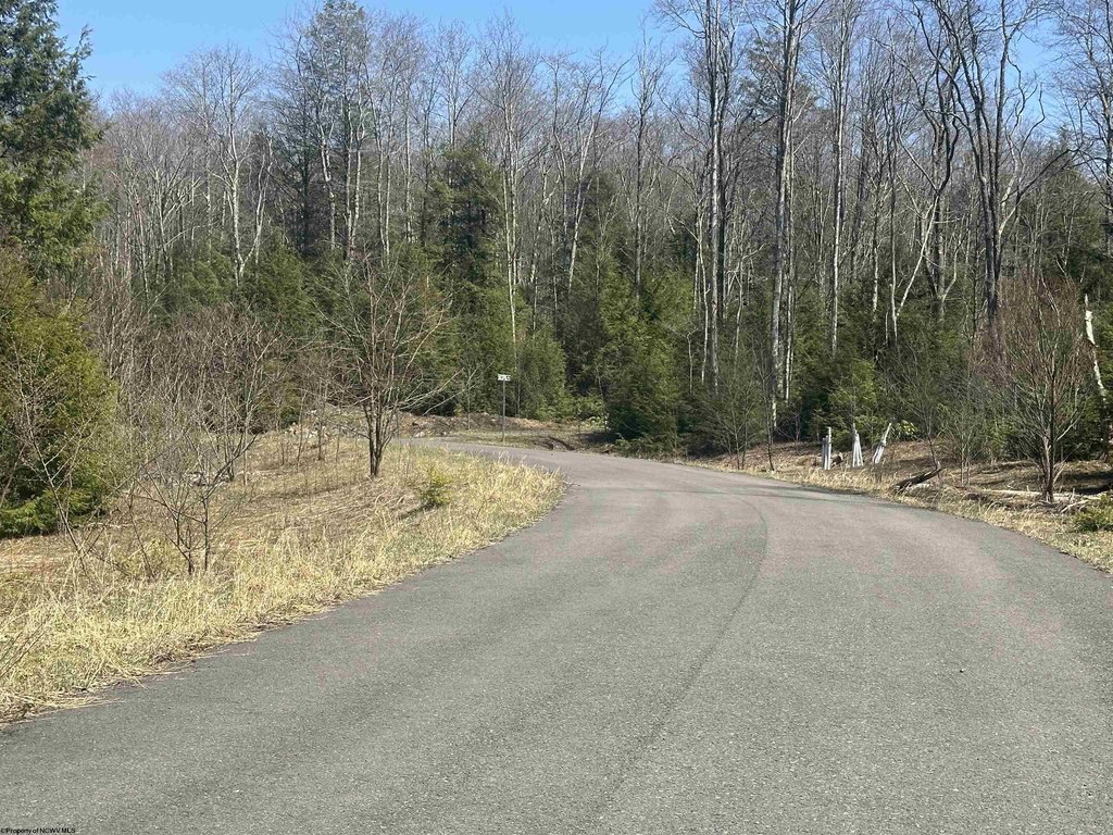 Picture 5