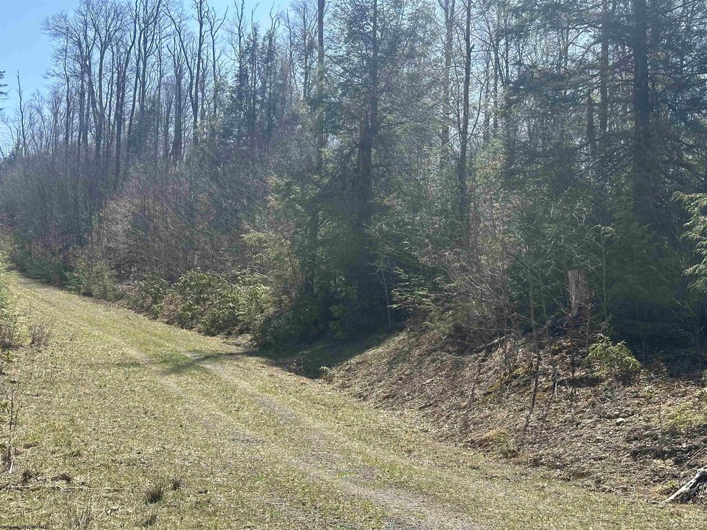 Picture 3