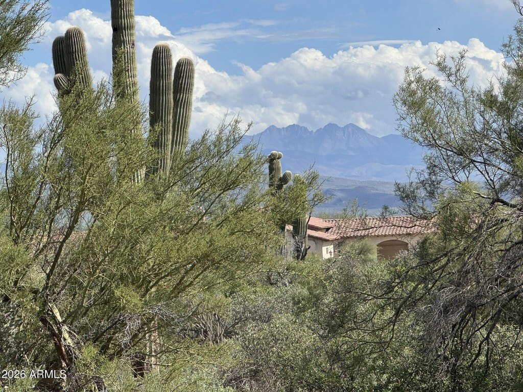 Picture 24