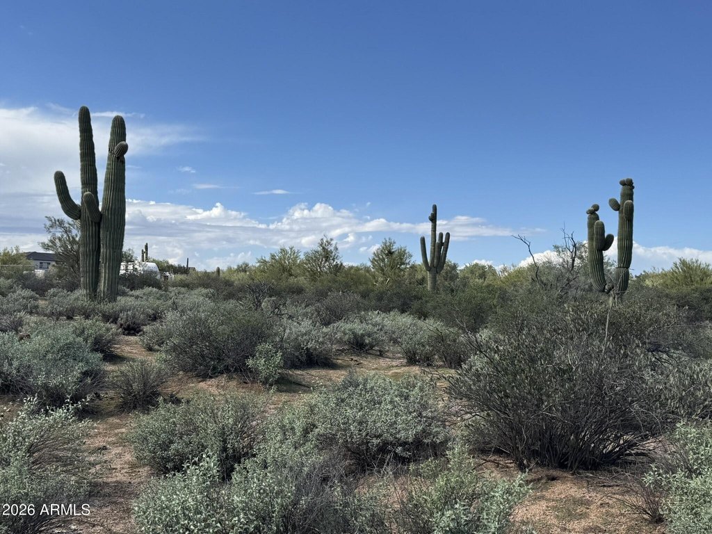 Picture 19
