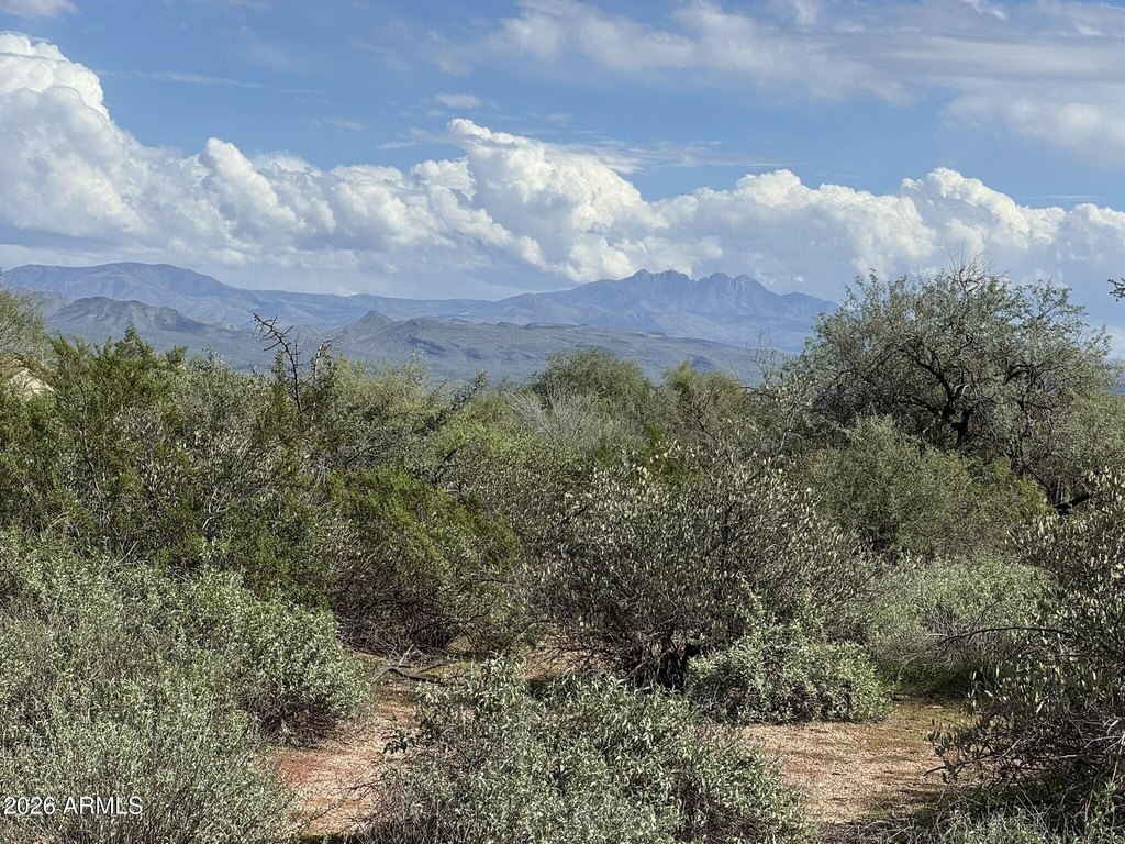 Picture 16