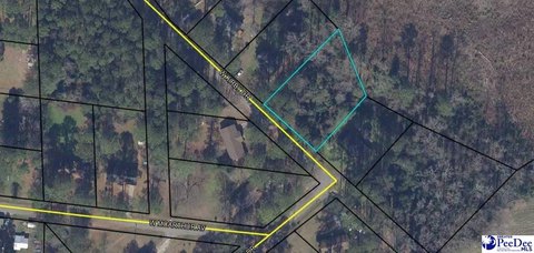 Residential Lot in Brookgreen Neighborhood