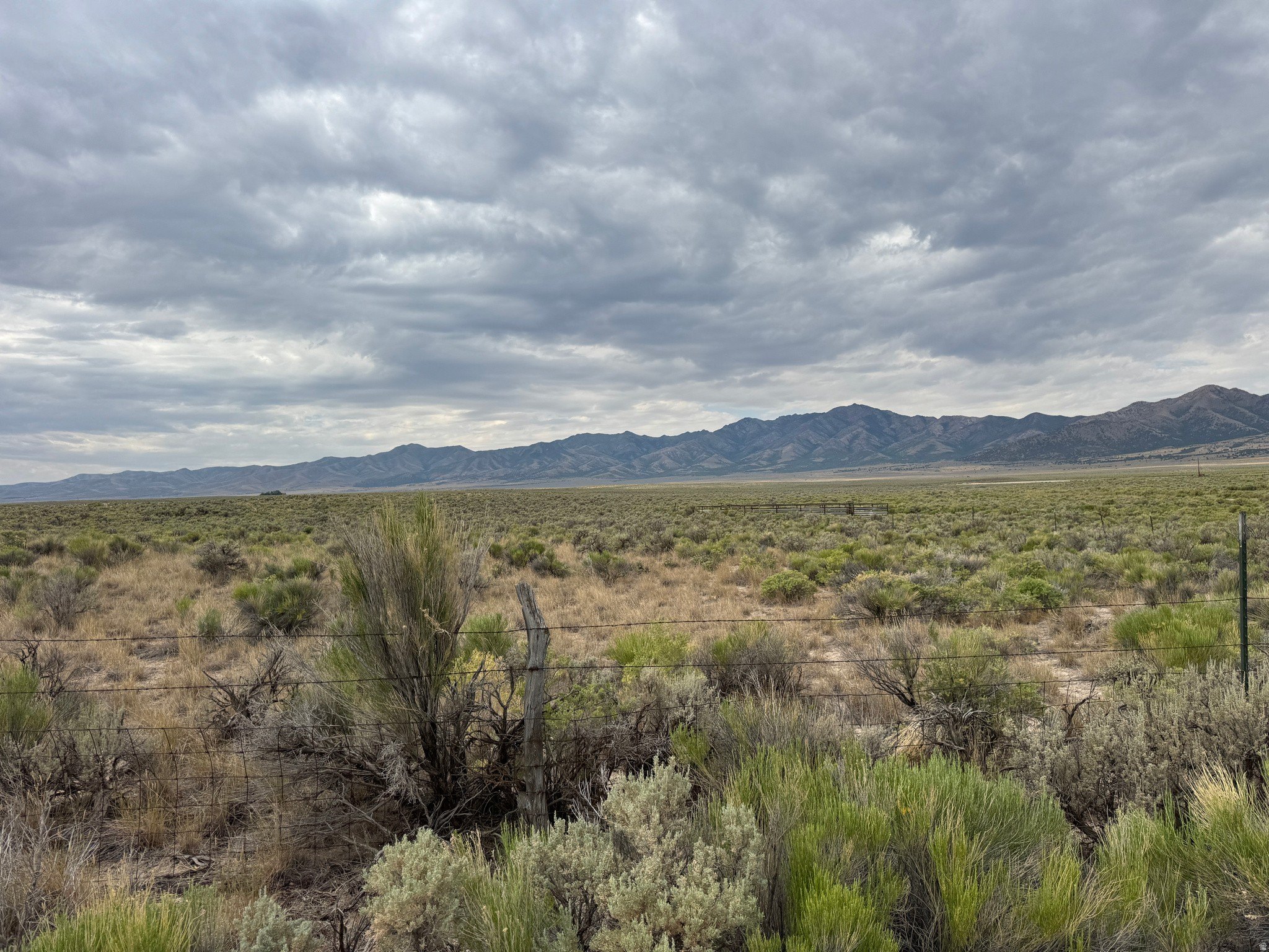 240 Acres of Open Land